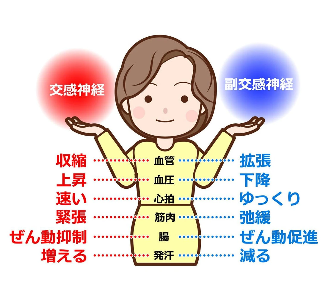ブログ